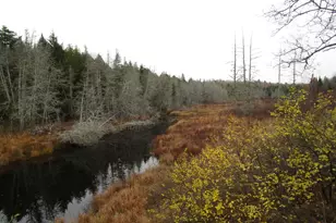 Lot 25 Medford Center, Medford, ME 04463 - Photo 1
