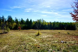 780 Spring Bridge Rd, Greenbush, ME 04418 - Photo 4