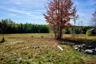 780 Spring Bridge Rd, Greenbush, ME 04418 - Photo 44