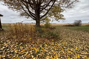 164 Baird Rd, Caribou, ME 04736 - Photo 6