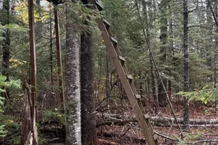 00 Bradbury Brook Rd, Clifton, ME 04428 - Photo 18