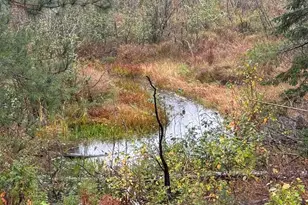 00 Bradbury Brook Rd, Clifton, ME 04428 - Photo 8