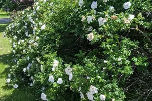 1450 Harpswell Neck Rd, Harpswell, ME 04079 - Photo 12