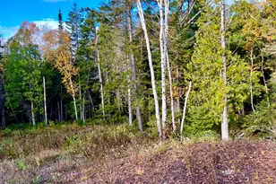 28 Mount Gilboa Wy, Tremont, ME 04653 - Photo 42