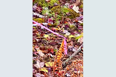 28 Mount Gilboa Way, Tremont, ME 04653 - Photo 44