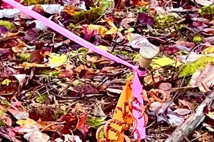 28 Mount Gilboa Wy, Tremont, ME 04653 - Photo 44