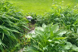 389 Higgins Rd, Pittsfield, ME 04967 - Photo 80