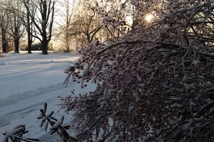 389 Higgins Rd, Pittsfield, ME 04967 - Photo 58