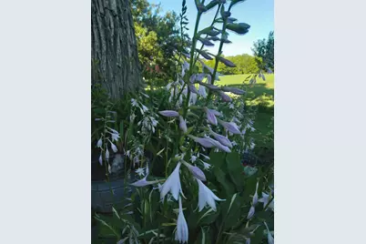 389 Higgins Road, Pittsfield, ME 04967 - Photo 72