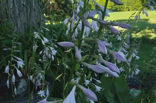 389 Higgins Rd, Pittsfield, ME 04967 - Photo 72