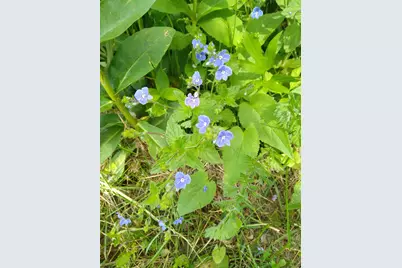 389 Higgins Road, Pittsfield, ME 04967 - Photo 68