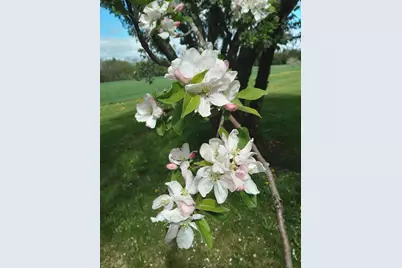 389 Higgins Road, Pittsfield, ME 04967 - Photo 62