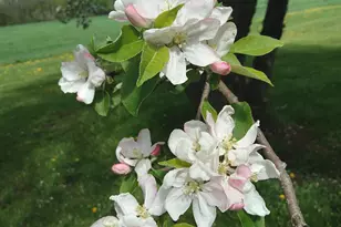 389 Higgins Rd, Pittsfield, ME 04967 - Photo 62