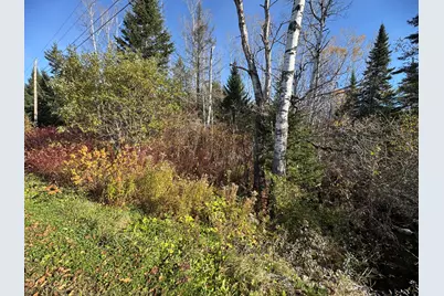 M2 L39-1 Pease Road, Mapleton, ME 04757 - Photo 4