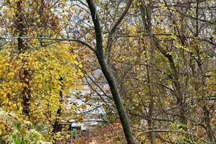 1542 Congress St, Portland, ME 04102 - Photo 6