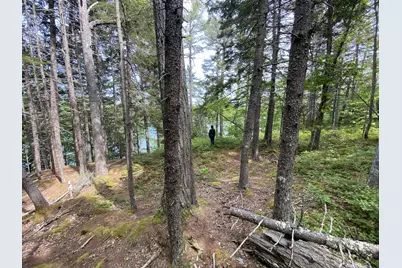 13 Porcupine Lane, Westport, ME 04578 - Photo 16