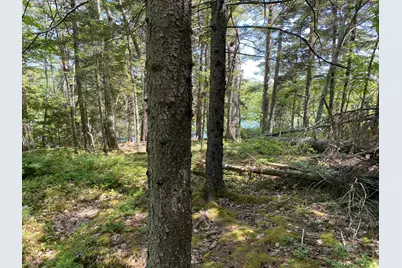 13 Porcupine Lane, Westport, ME 04578 - Photo 6