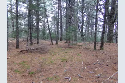 Lot 3E Rogers Point Road, Steuben, ME 04680 - Photo 1