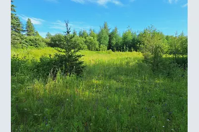 Lot 36-D Grimes Road, Caribou, ME 04736 - Photo 2