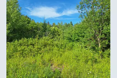 Lot 36-D Grimes Road, Caribou, ME 04736 - Photo 20