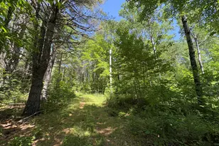 Off Andrews Rd, Drew Plt, ME 04497 - Photo 28