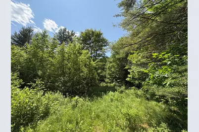 Off Andrews Road, Drew Plt, ME 04497 - Photo 30