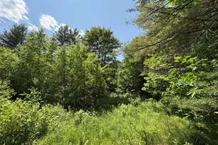 Off Andrews Rd, Drew Plt, ME 04497 - Photo 30