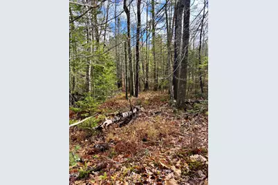 0 Millvale Road, Bucksport, ME 04416 - Photo 4