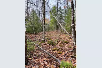 0 Millvale Road, Bucksport, ME 04416 - Photo 2