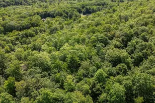 325 N Raymond Rd, Poland, ME 04274 - Photo 26