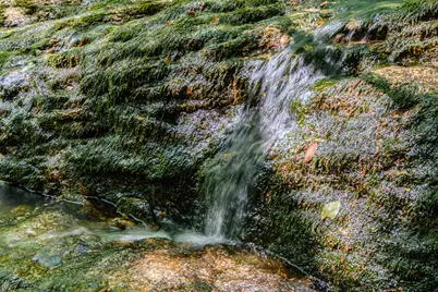 366 Glades View Avenue, Newry, ME 04261 - Photo 82