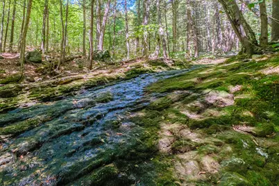 366 Glades View Avenue, Newry, ME 04261 - Photo 74