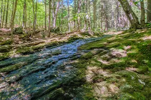 366 Glades View Ave, Newry, ME 04261 - Photo 74