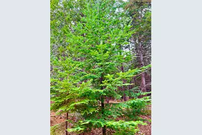 16 Long Pond Road, Southwest Harbor, ME 04679 - Photo 42