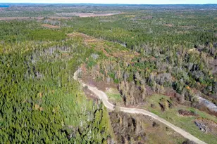 Lot 3 Holmes Bay Farm, Whiting, ME 04691 - Photo 1