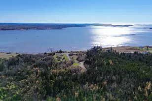 Lot 5 Holmes Bay Farm, Whiting, ME 04691 - Photo 1