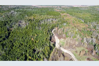 Lot 5 Holmes Bay Farm, Whiting, ME 04691 - Photo 6