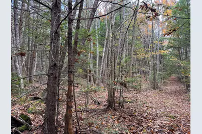 Lot 2 Darci Lane, Montville, ME 04941 - Photo 10