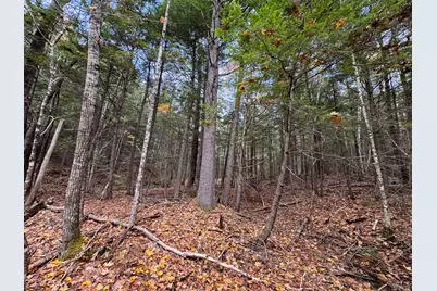 Lot 2 Darci Lane, Montville, ME 04941 - Photo 14