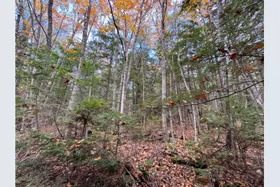 Lot 2 Darci Lane, Montville, ME 04941 - Photo 12