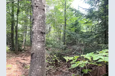 # North Road, Harmony, ME 04942 - Photo 16