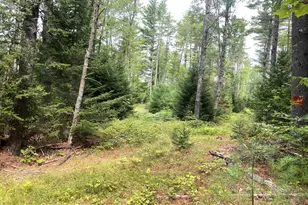 # North Rd, Harmony, ME 04942 - Photo 26