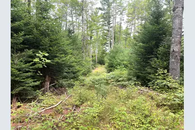 # North Road, Harmony, ME 04942 - Photo 18