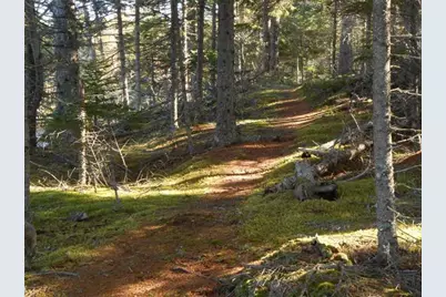 Lot 25 Lucas Lane, Whiting, ME 04691 - Photo 4