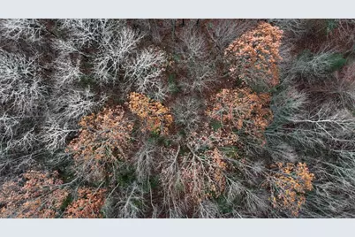 603 Shepard Hill Road, Union, ME 04862 - Photo 2