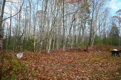 603 Shepard Hill Road, Union, ME 04862 - Photo 6