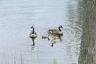 83 Orono Landing Rd, Orono, ME 04473 - Photo 34