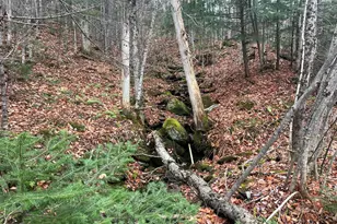 Lot 1 2 Thistle St, Upton, ME 04261 - Photo 1