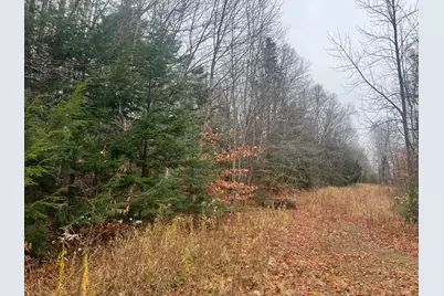 Lot 1 & 2 Thistle Street, Upton, ME 04261 - Photo 12