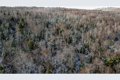 Lot 1 & 2 Thistle Street, Upton, ME 04261 - Photo 6